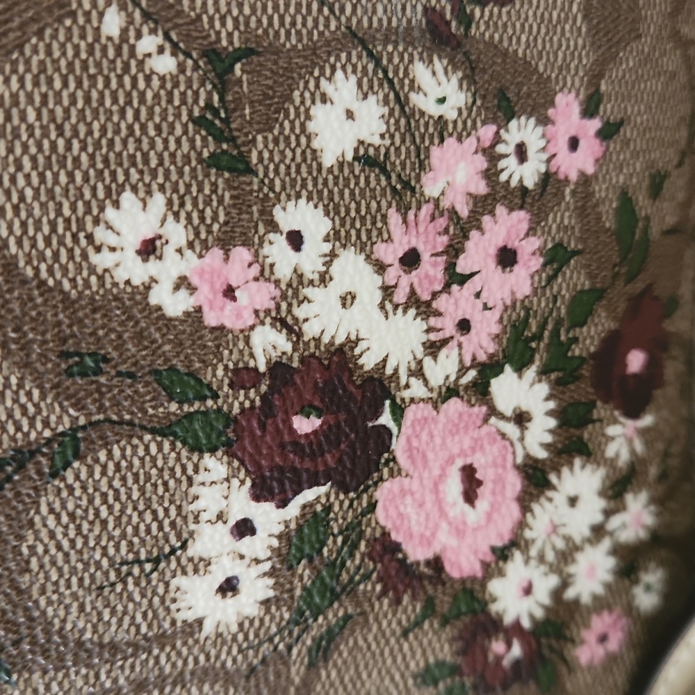 Beautiful Coach Evergreen Wildflower Signatue Camera Style Crossbody Bag 🩷🤍 - Picture 4 of 16